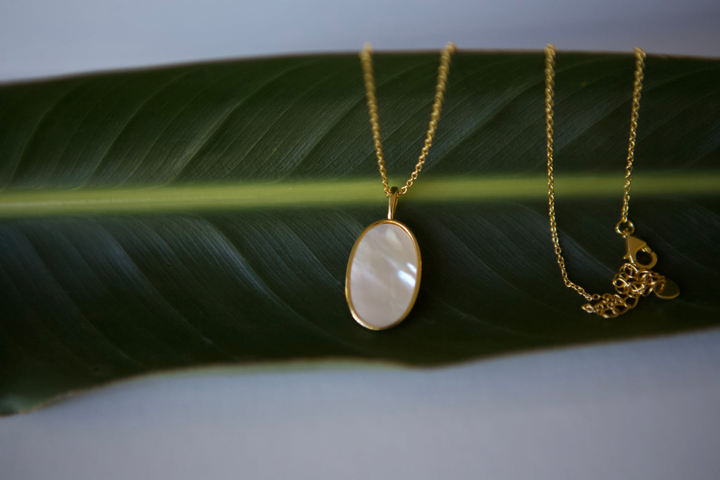 Mother-of-Pearl Gold-Plated Adjustable Necklace